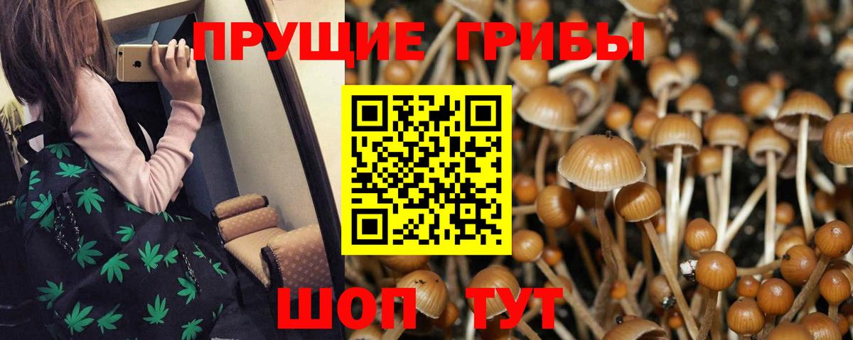 Псилоцибиновые грибы ЛСД Петровск